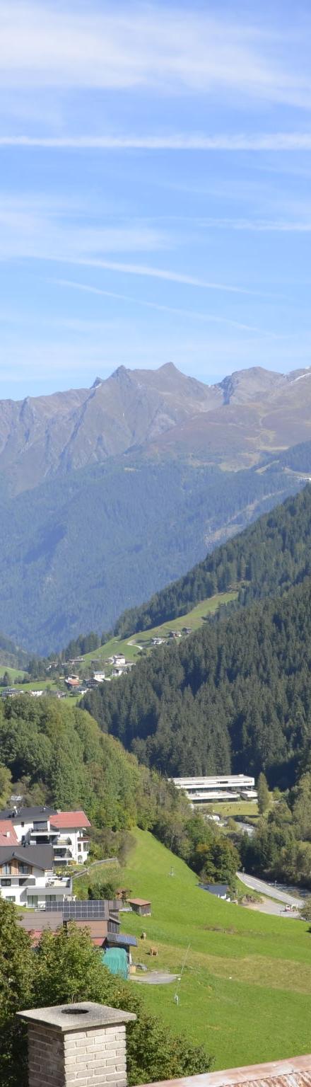 Silvretta – billede 4
