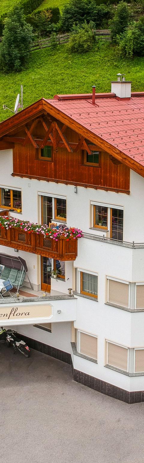 Alpenflora – St. Anton