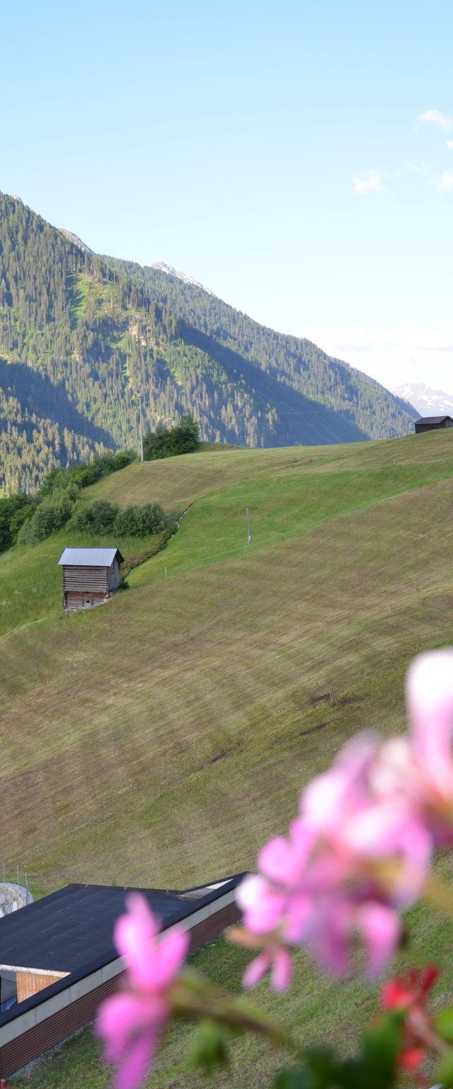 Wechner – billede 37