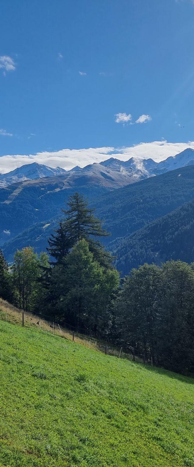 Alpenliebe – billede 26
