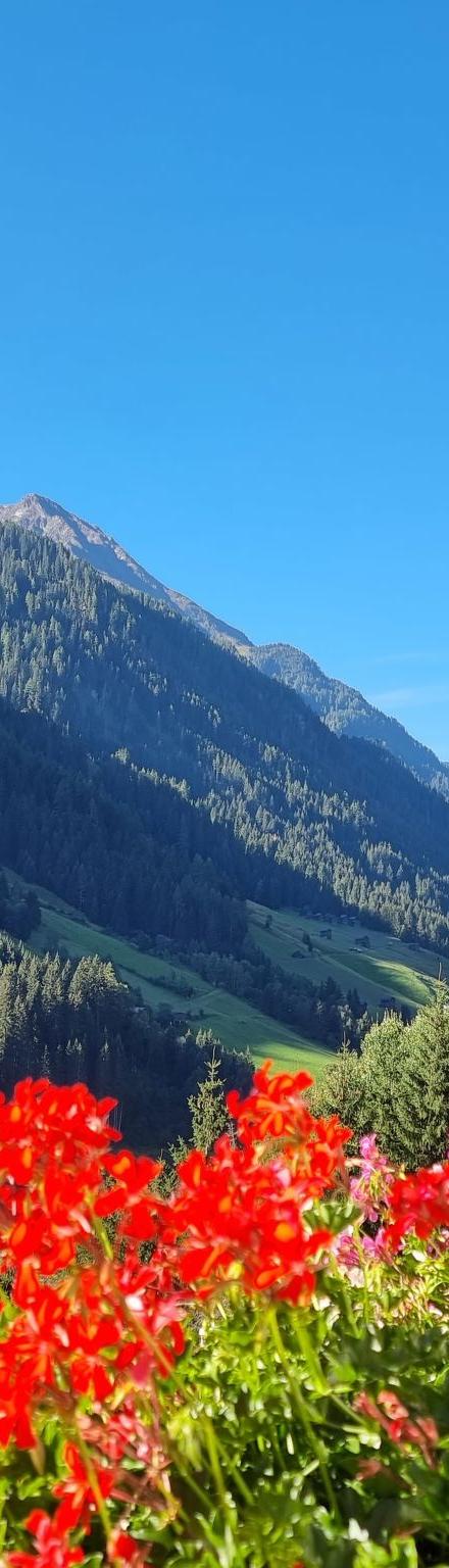 Vesul – billede 2