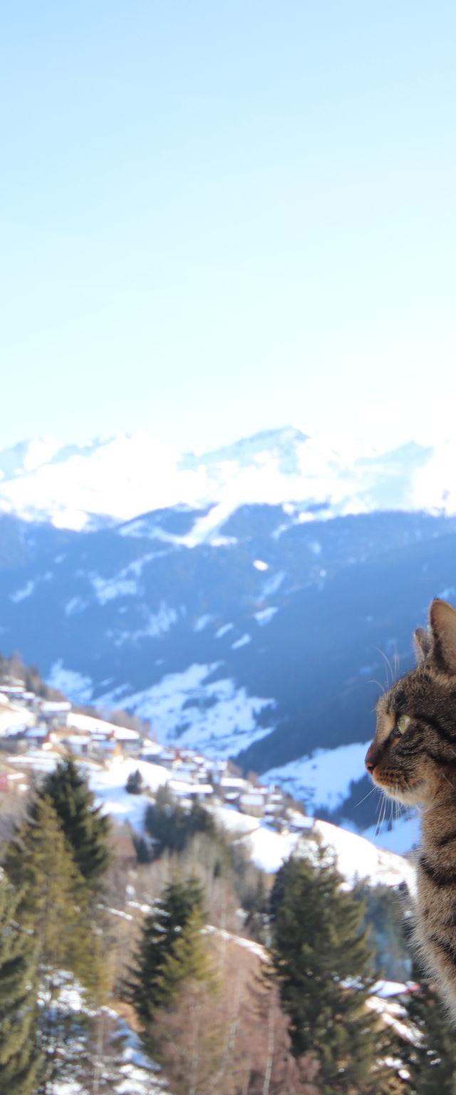 Bergblick – billede 22
