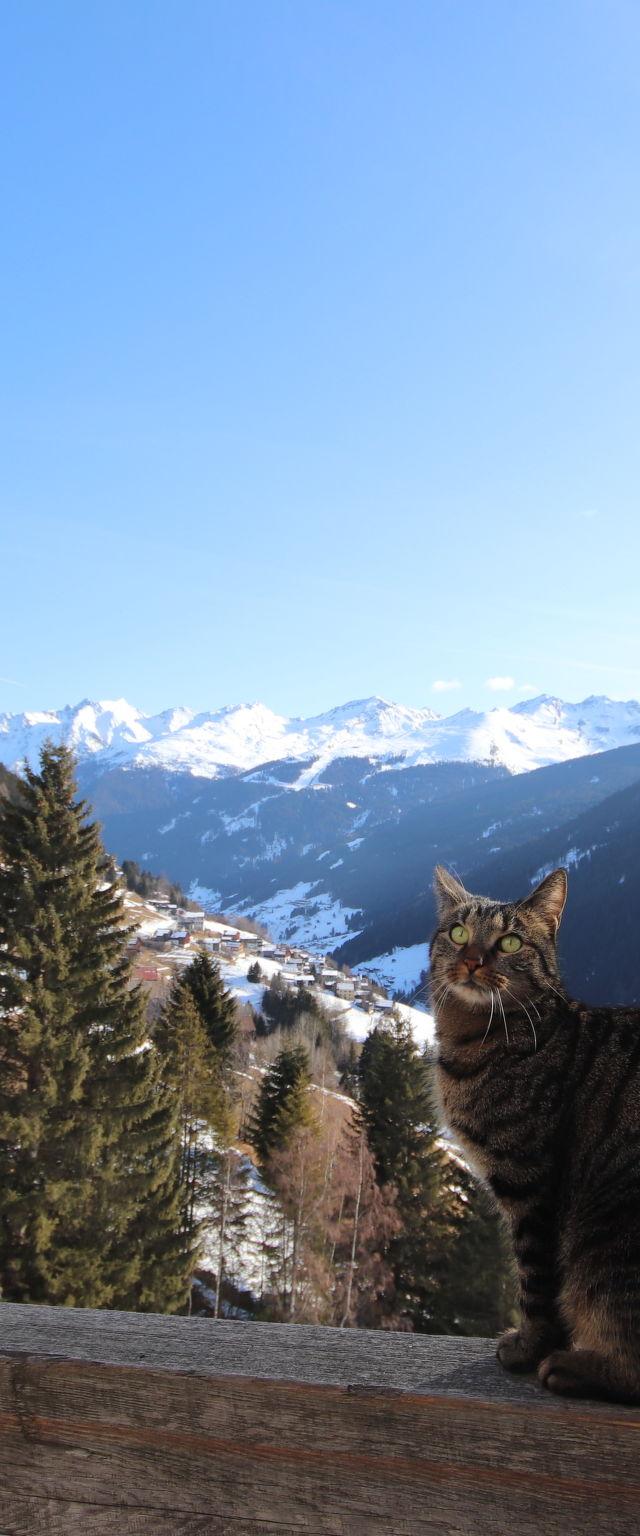 Bergblick – billede 23