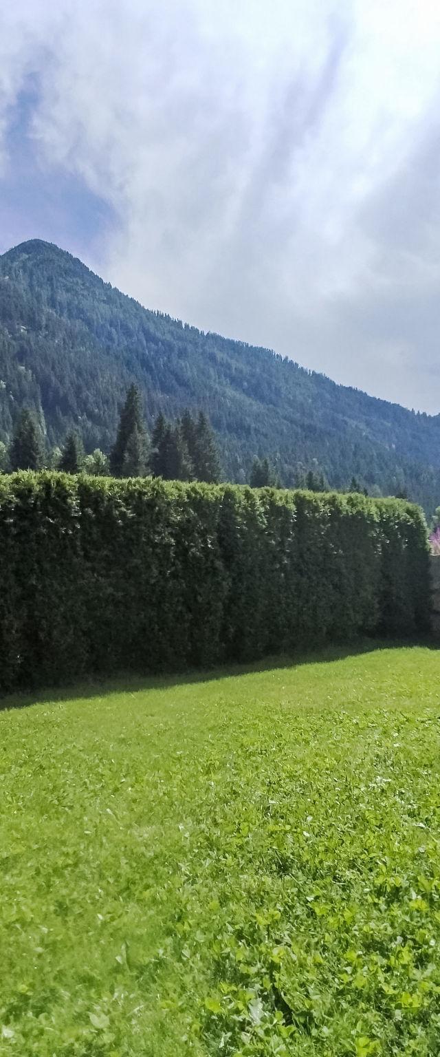 Apart Garni Wachter – billede 2
