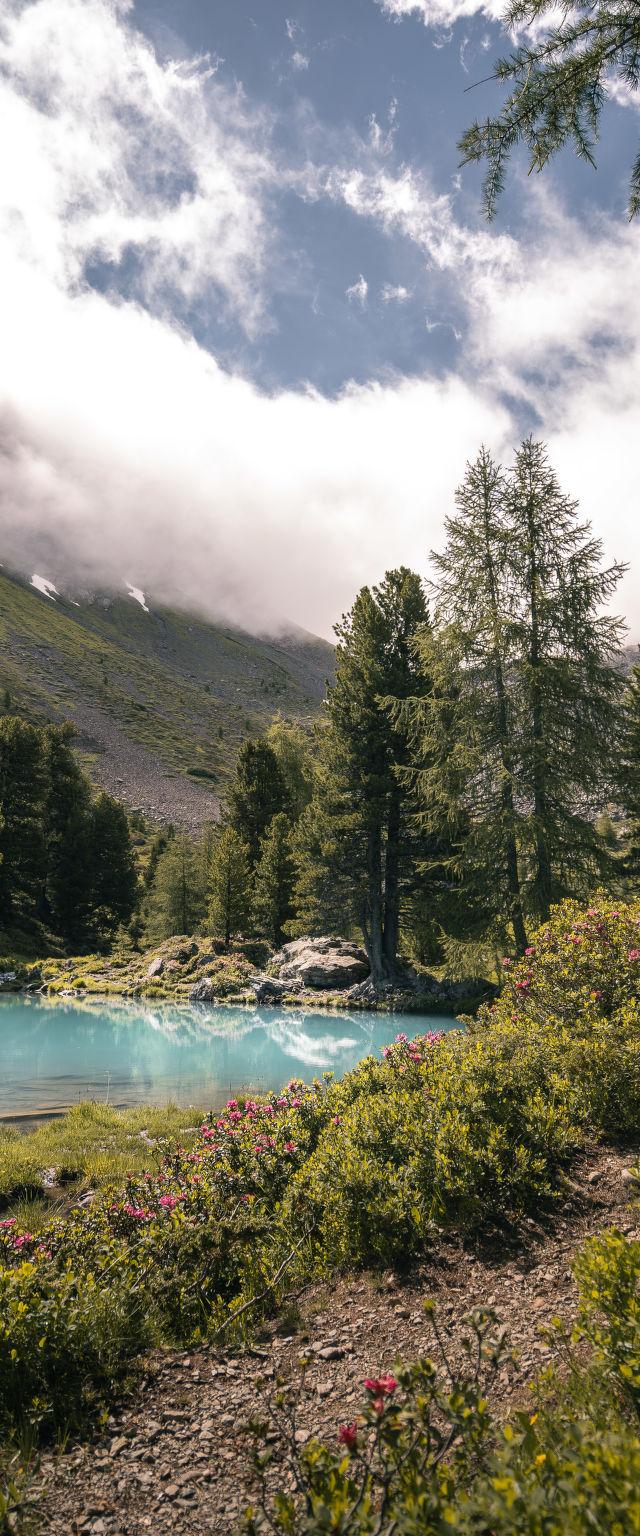 Apart Garni Wachter – billede 28
