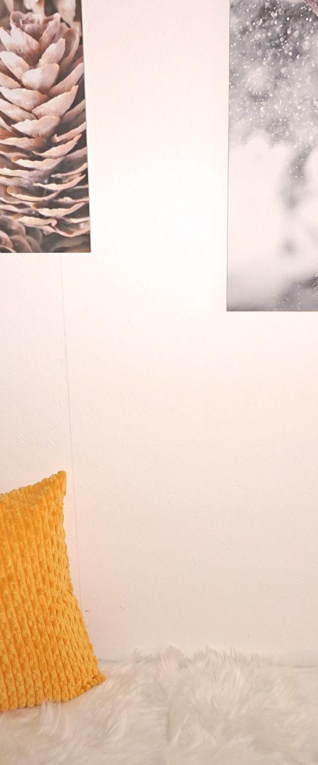 Sandra Falch – billede 26