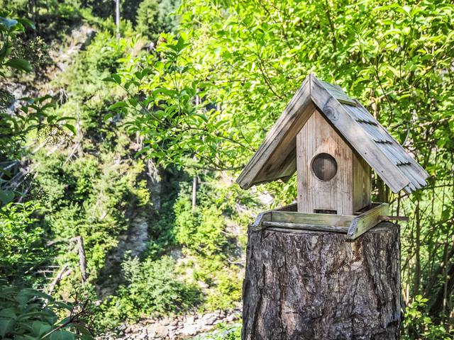 am Arlberg – billede 17