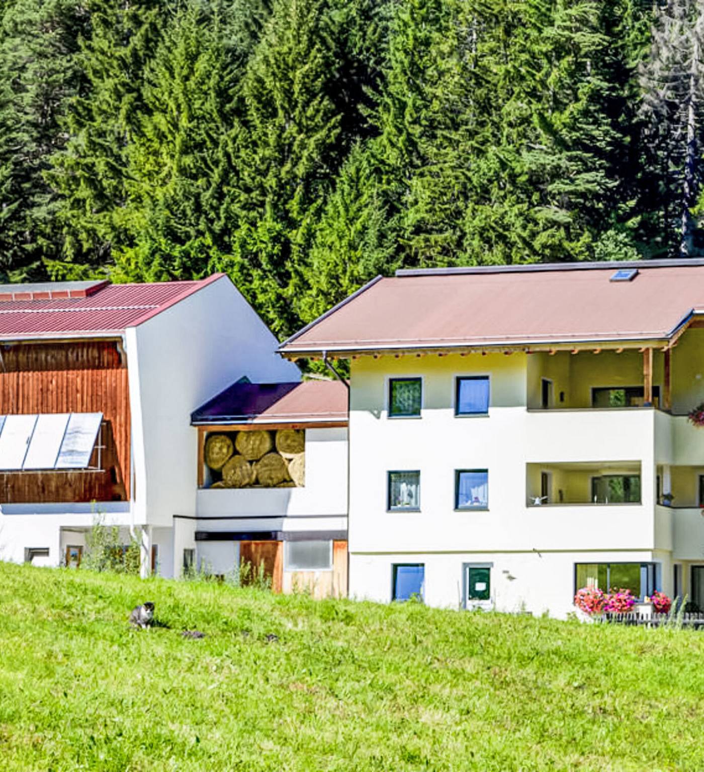 Kapall, St. Anton