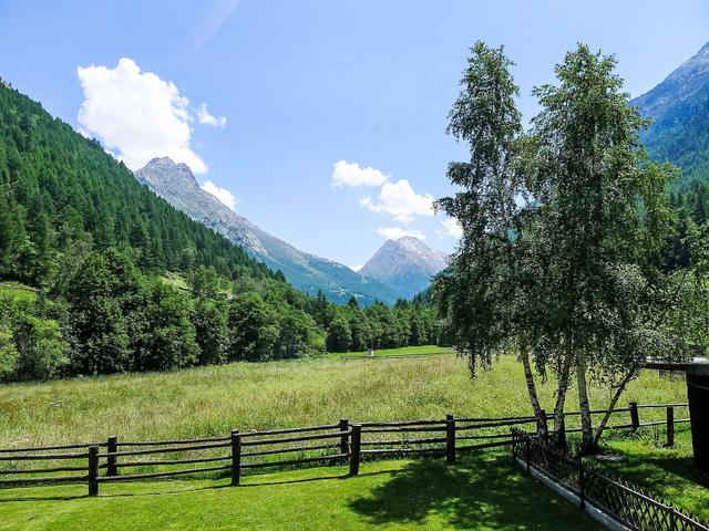 Amici – billede 21