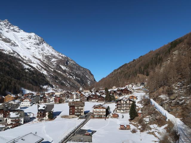Amici – billede 35