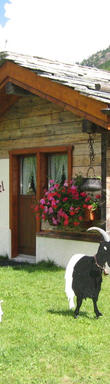 Hus, Saas-Grund, Saas Fee