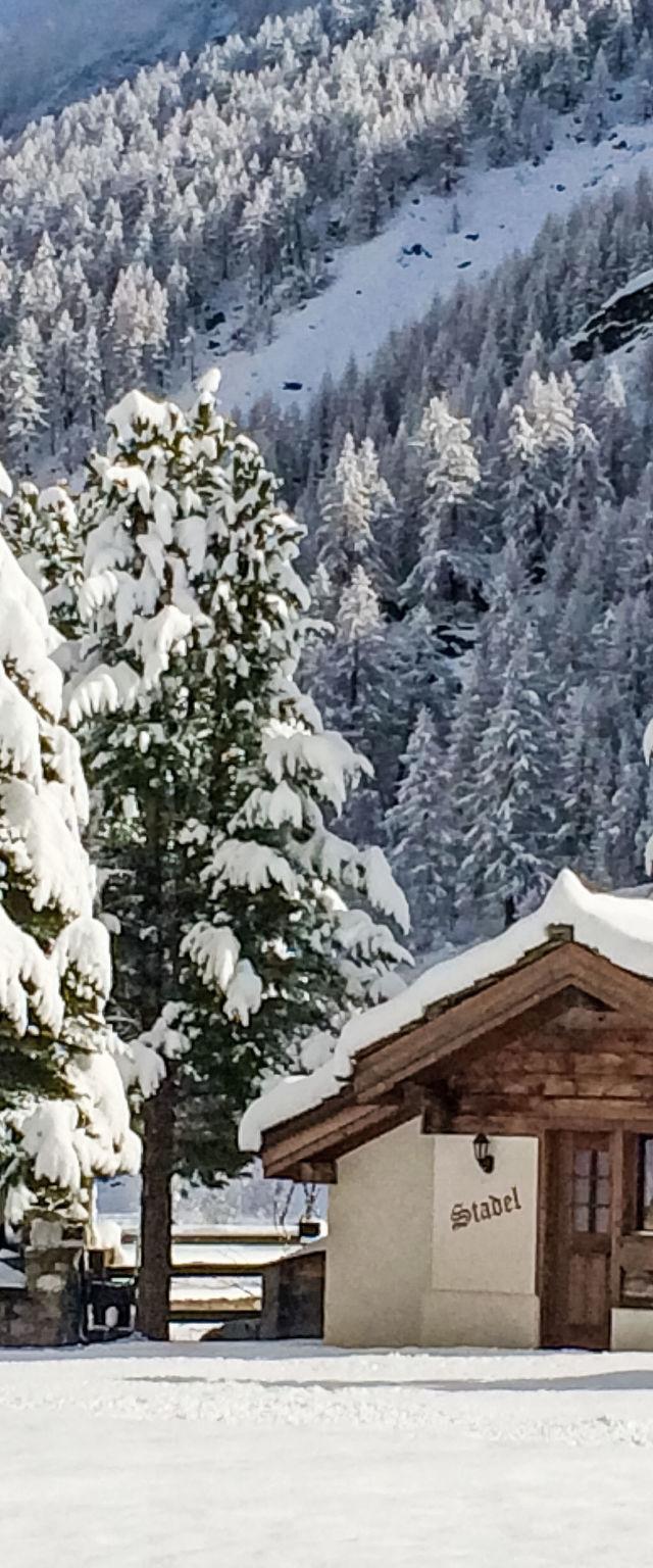 Hus, Saas-Grund – billede 12