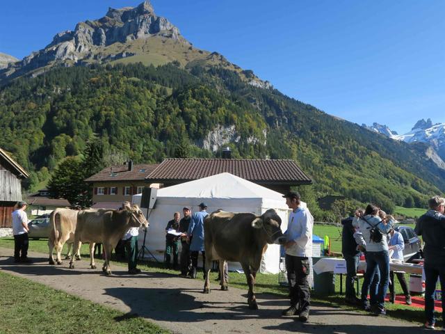 Chalet Heureka-Horbis – bild 21
