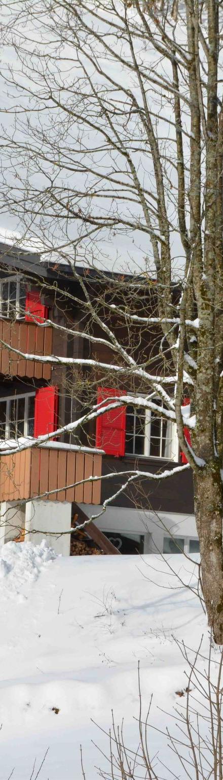 Chalet Heureka-Horbis Appartement/Fewo 8-Bettwohnung – billede 3