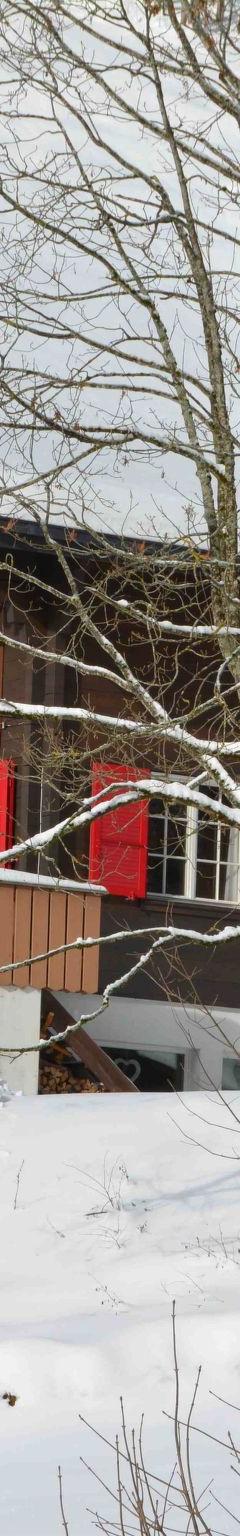 Lejlighed (8 pers.) – Chalet Heureka-Horbis Appartement/Fewo 8-Bettwohnung