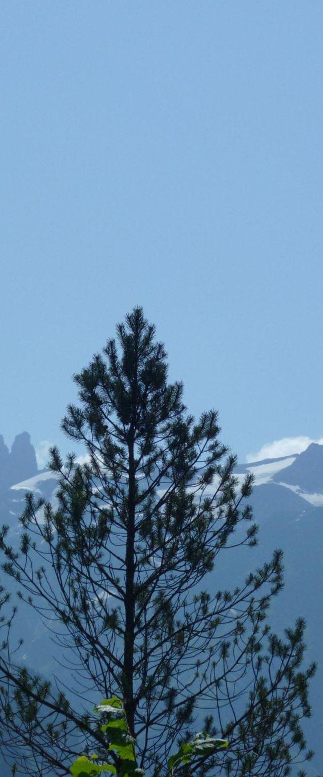 Lejlighed, Engelberg – billede 37