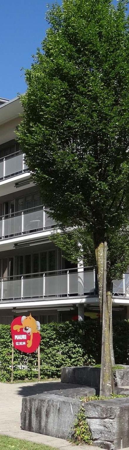 Dorfstrasse 50a Appartement/Fewo 4-Bettwohnung – billede 2