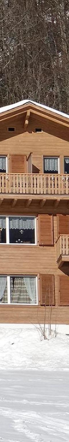 Lejlighed (4 pers.) – Berg Enzian Appartement/Fewo 4-Bettwohnung