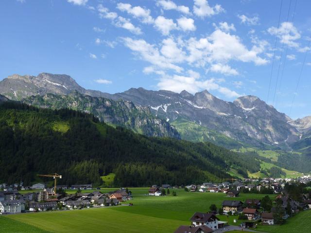 Berg Enzian – billede 33