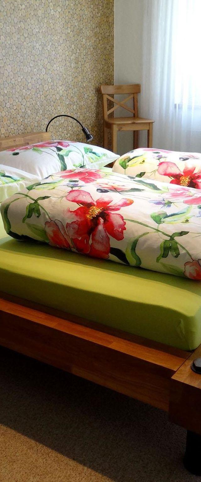 Blumenweg 2 Appartement/Fewo 4-Bettwohnung – billede 29