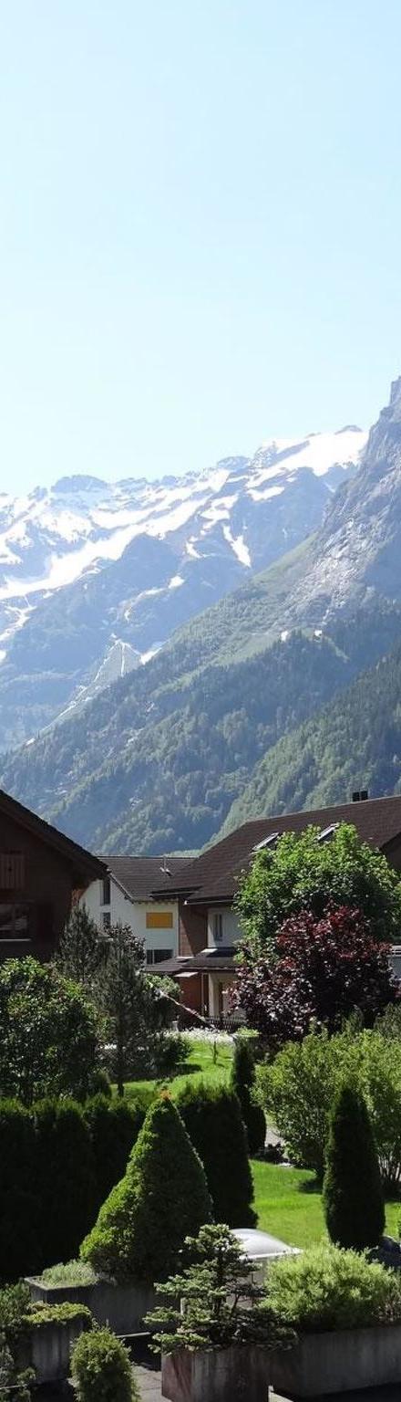Chalet Bergblick Appartement/Fewo 4-Bettwohnung – billede 5