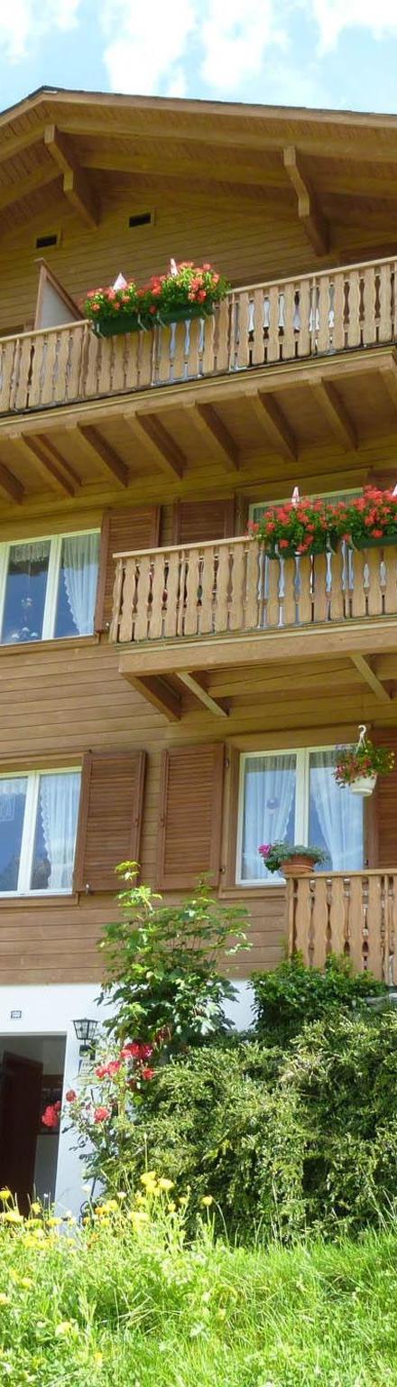 Berg Edelweiss Appartement/Fewo 3-Bettwohnung – billede 1