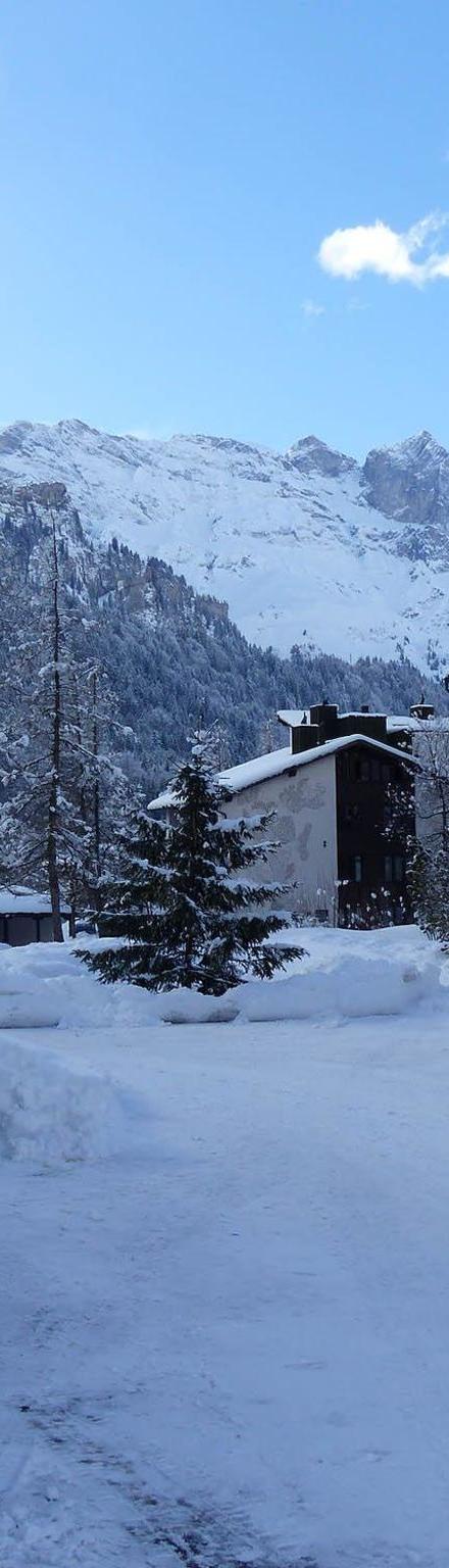 Lejlighed, Engelberg – billede 5