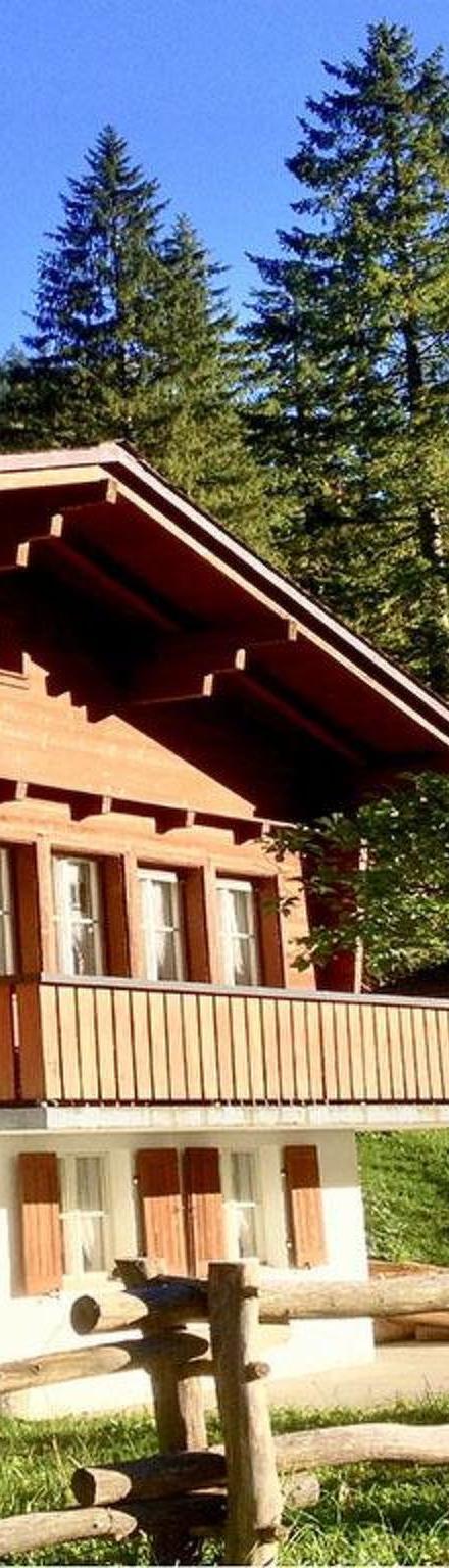 Chalet Bergmandli Appartement/Fewo 8-Bettwohnung – billede 1