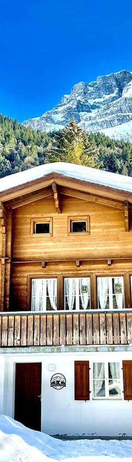 Chalet Bergmandli Appartement/Fewo 8-Bettwohnung – billede 3
