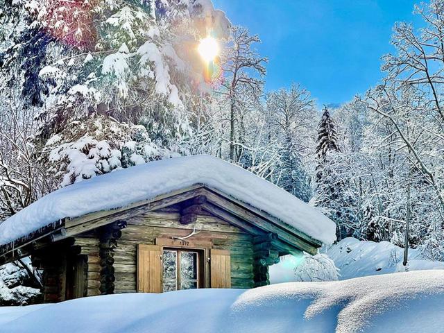 Chalet Bergmandli – billede 33