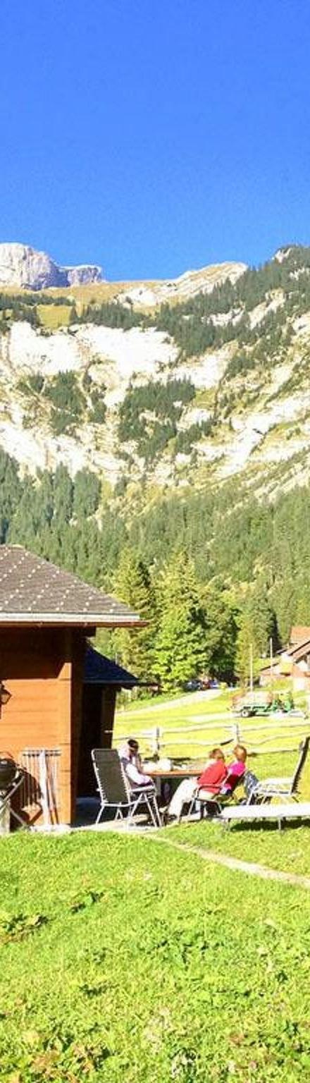 Chalet Bergmandli Appartement/Fewo 8-Bettwohnung – billede 5