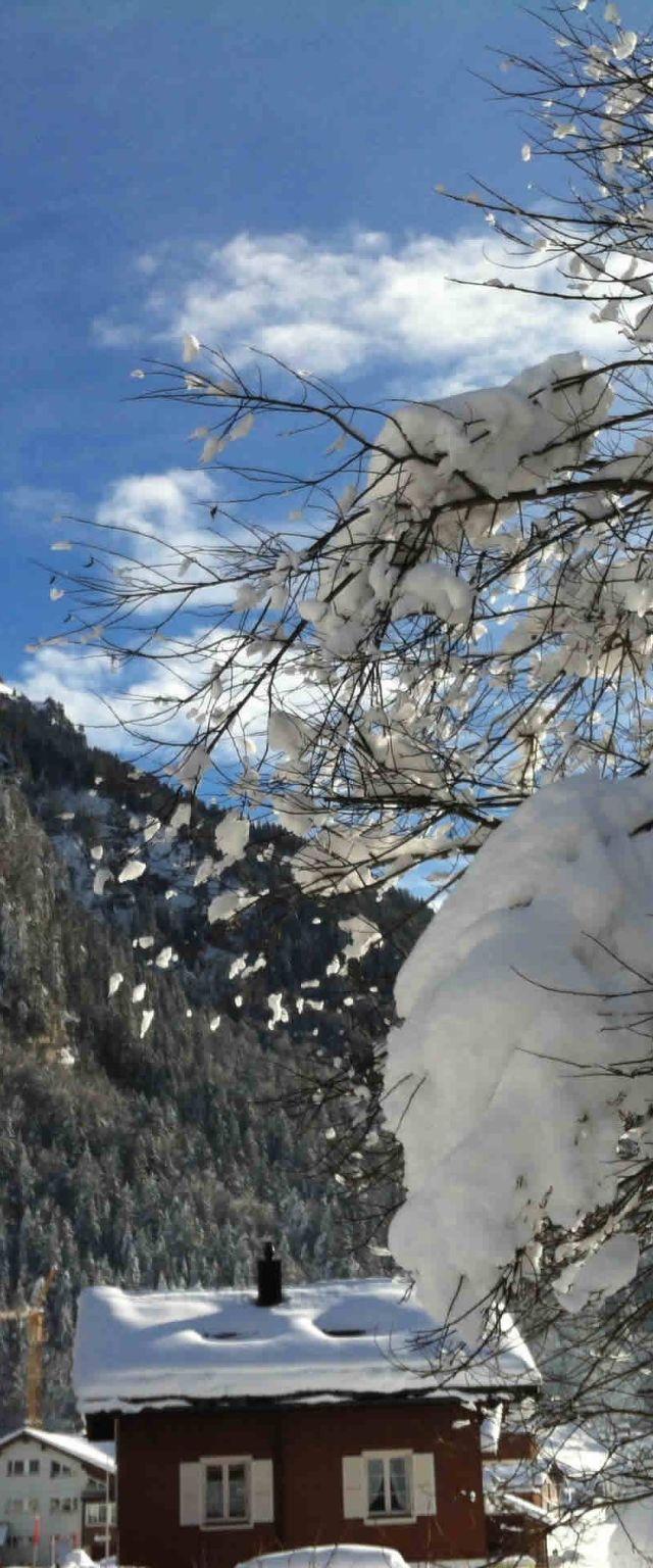 Lejlighed, Engelberg – billede 30