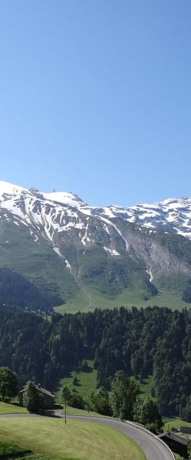Lejlighed, Engelberg – billede 33
