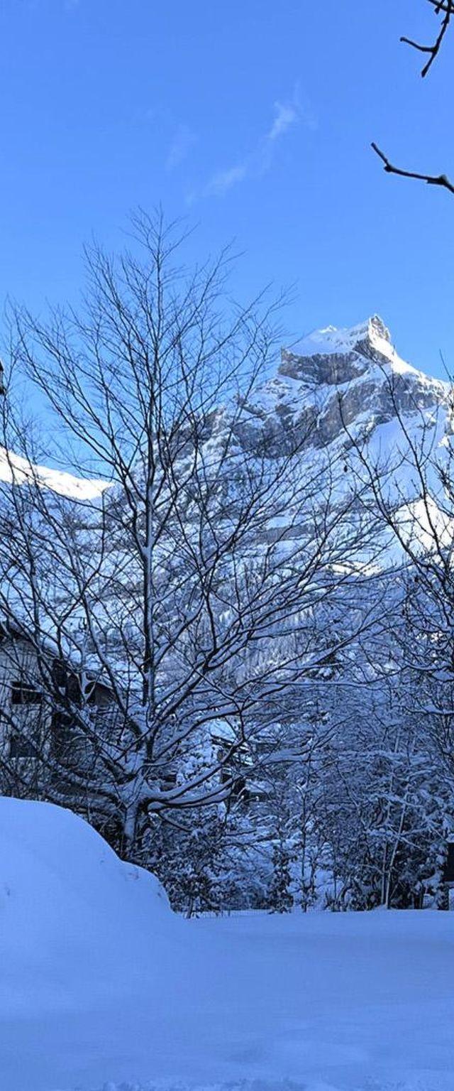 Lejlighed, Engelberg – billede 8