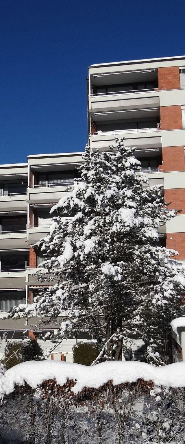 Parkweg 9/402 Appartement/Fewo 2-Bettwohnung – billede 8
