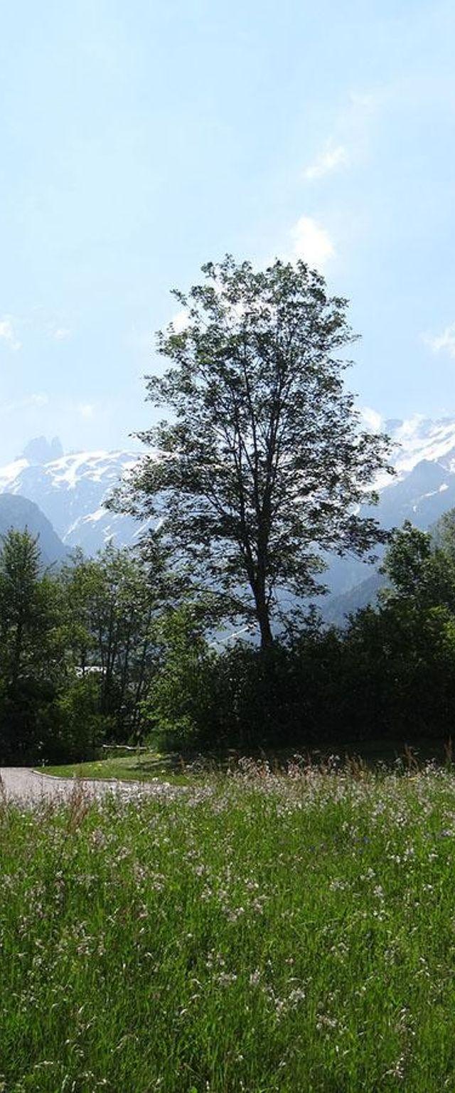 Lejlighed, Engelberg – billede 44