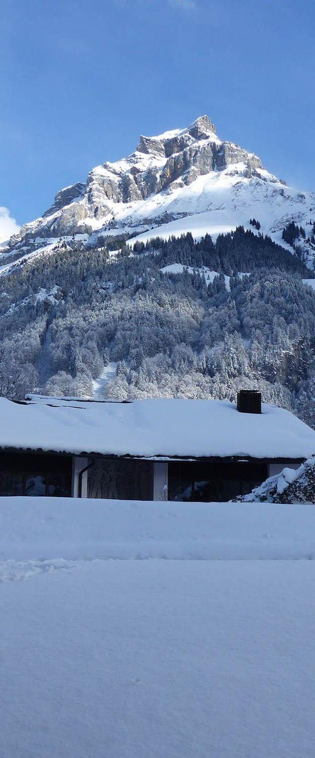 Lejlighed, Engelberg – billede 47