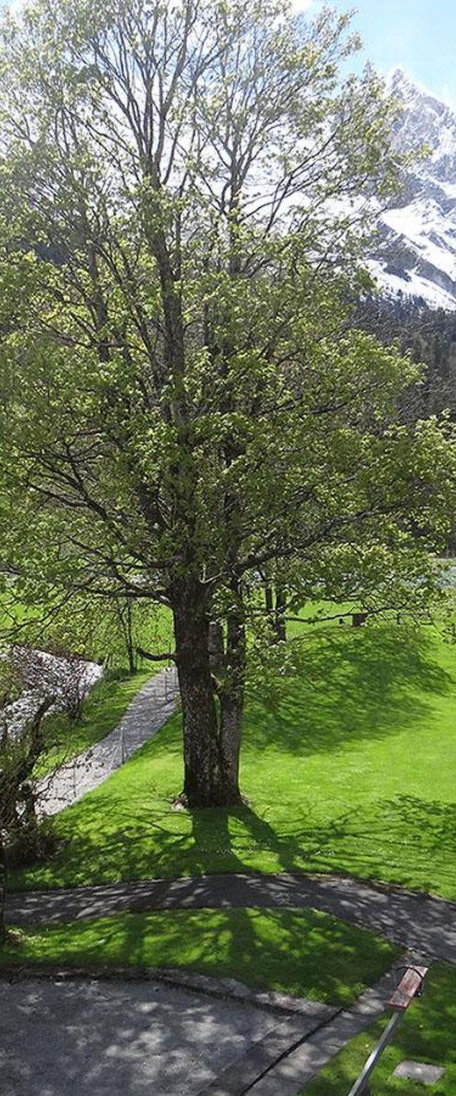 Lejlighed, Engelberg – billede 29