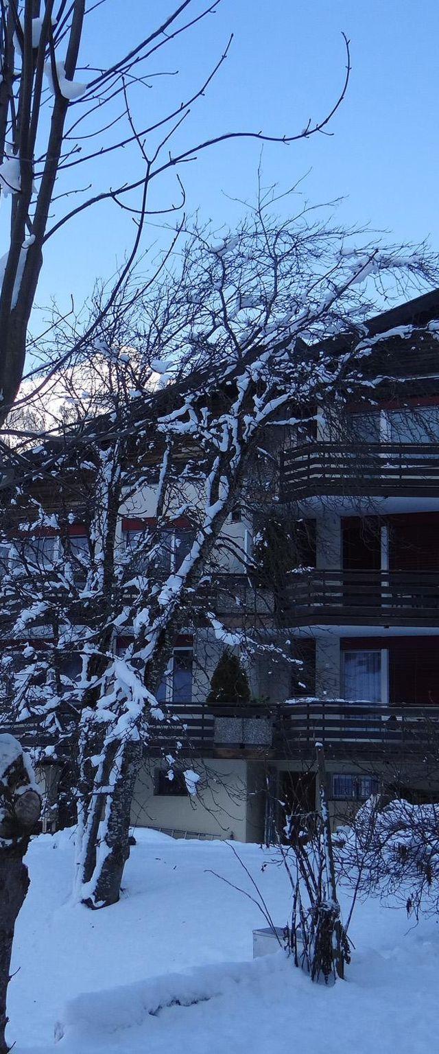 Birkenstrasse 56 Appartement/Fewo 4-Bettwohnung – billede 5
