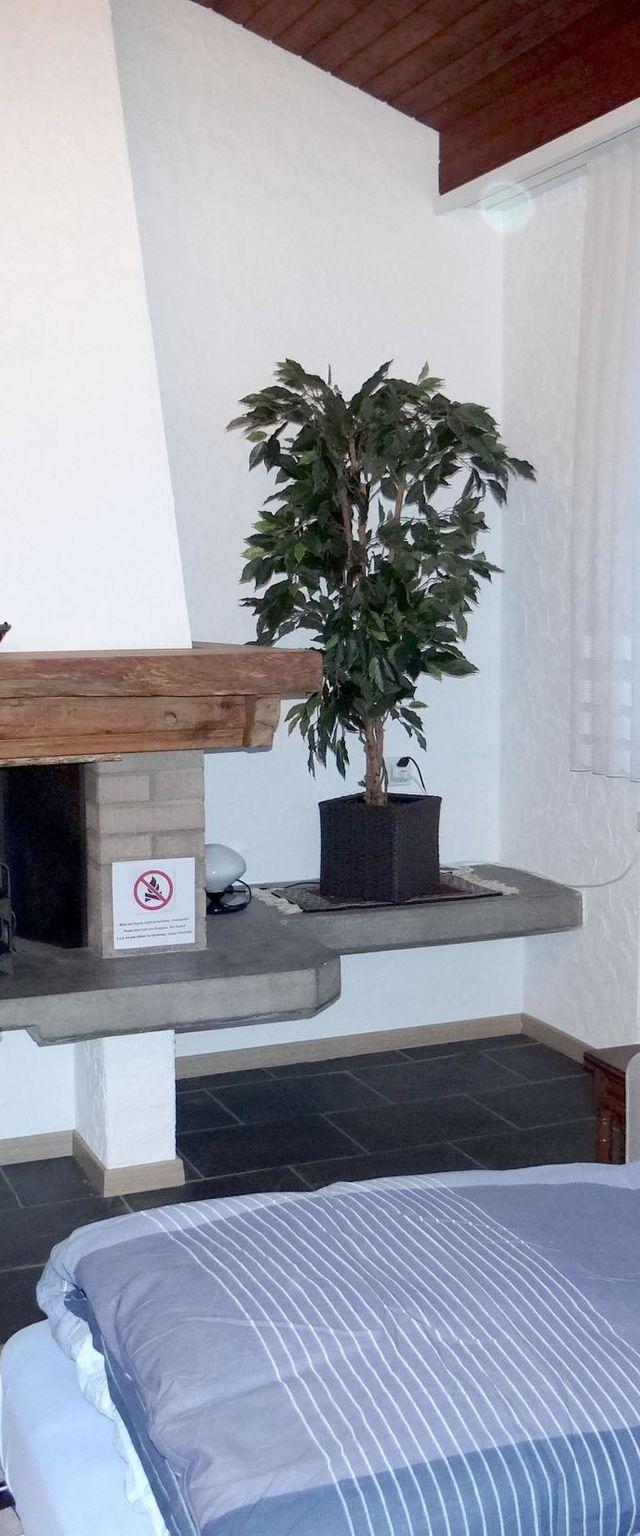 Birkenstrasse 56 Appartement/Fewo 4-Bettwohnung – billede 7