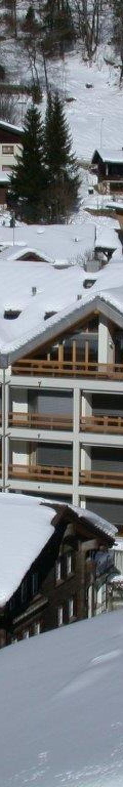 Lejlighed (4 pers.) – Seelenmattli Appartement/Fewo 4-Bettwohnung