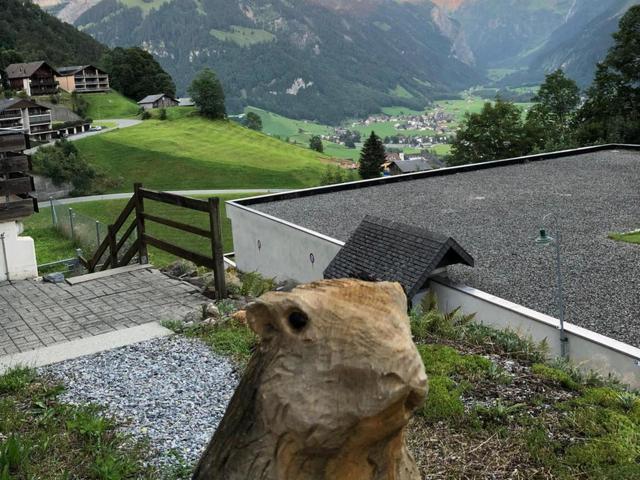 Chalet Murmeli – billede 39