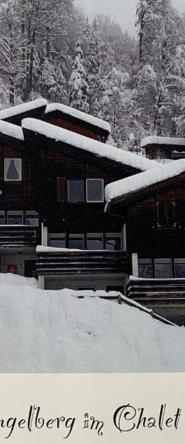 Chalet Murmeli Appartement/Fewo 6-Bettwohnung – billede 4