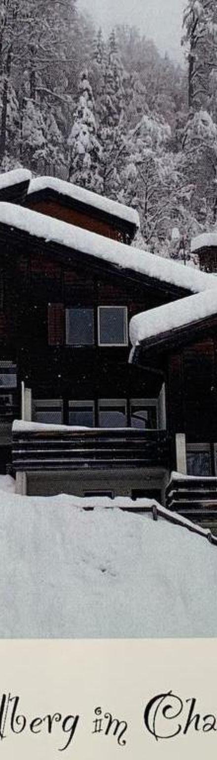 Chalet Murmeli Appartement/Fewo 6-Bettwohnung – billede 4