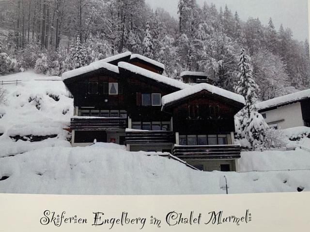 Chalet Murmeli – billede 4