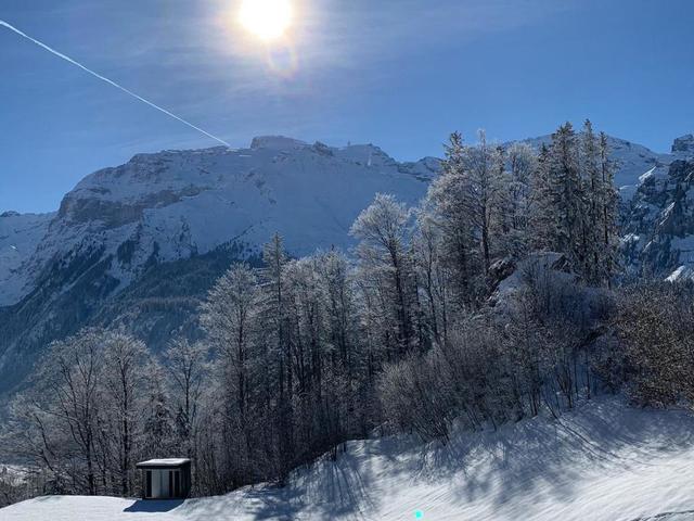 Chalet Murmeli – billede 48