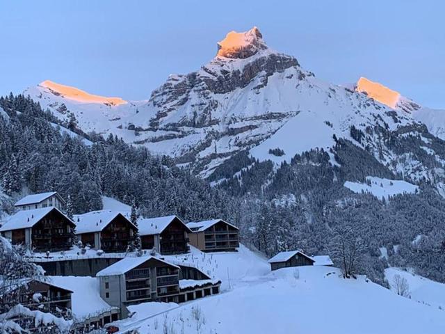 Chalet Murmeli – billede 49