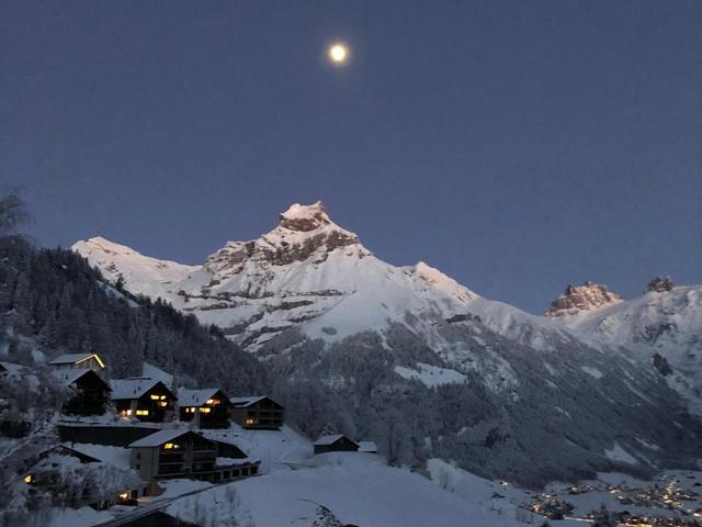 Chalet Murmeli – billede 60