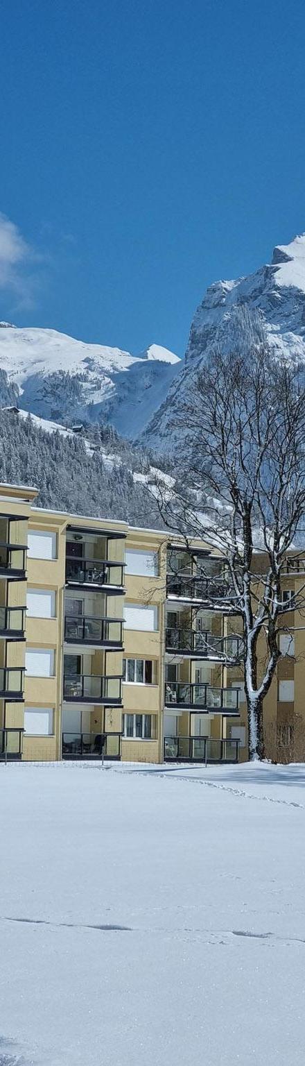 Lejlighed, Engelberg – billede 5