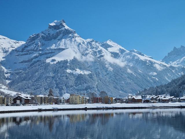 Erlenrain Wohnung 911 – bild 7